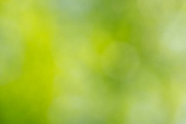 yeşil bokeh arka plan, yeşil bokeh, yeşil bokeh soyut