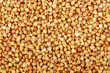 karabuğday yakın çekim