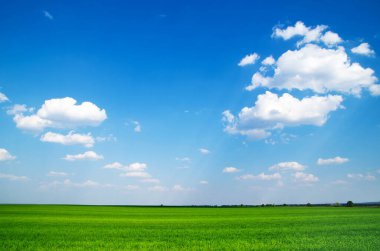 Mavi gökyüzünün arka planında bir alan