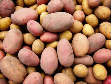 Arka plan olarak taze çiğ patates.