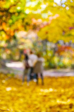 Sonbahar altın parkı, bulanık arkaplan.