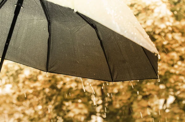 Şemsiye ve yağmur damlaları yakın çekim