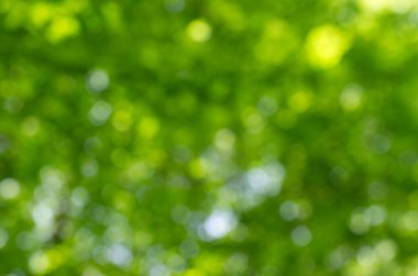 taze bahar bokeh arka plan