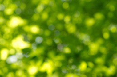 taze bahar bokeh arka plan