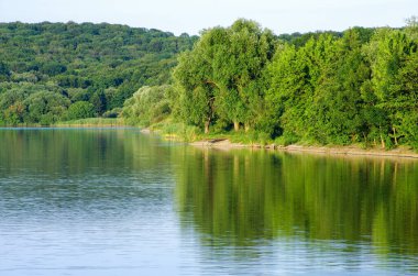 Sakin nehir ormanlık arazide yavaşça akıyor..