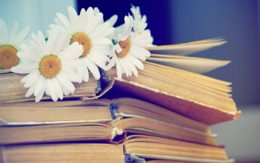 Papatya çiçeği kitaplar