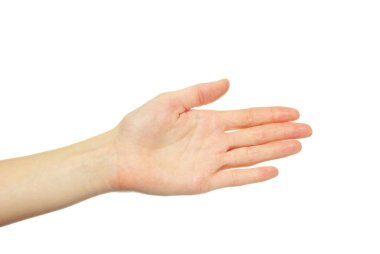 Beyaz bir arka plan üzerinde izole el