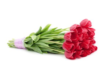 gelen Lale çiçek buketi beyaz izole