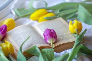 Açık kitap ve laleler