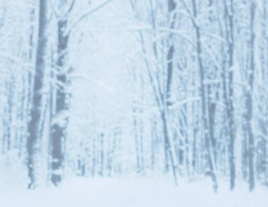 Kış karla kaplı ağaçlar bulanık arka plan