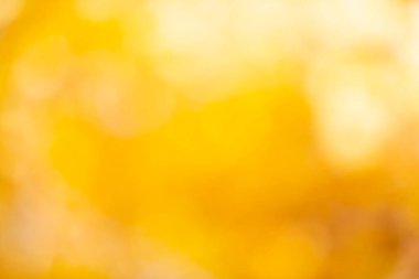 Bulanık sonbahar arkaplan dokusu