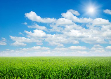 Mavi gökyüzünün altında yeşil alan