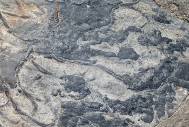 Taş dokusu veya arkaplan