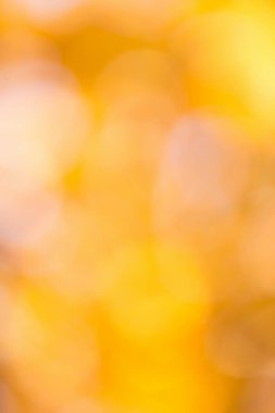 bulanık sonbahar arka plan