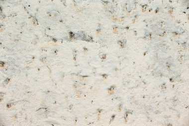 graye duvar doku veya adam