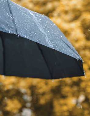 Şemsiye ve yağmur damlaları yakın çekim