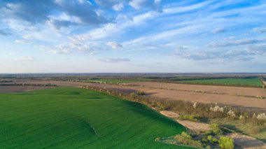 Drone bakış açısından yolda araba hava atış