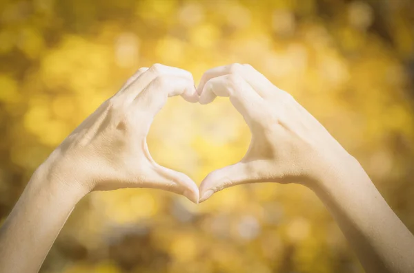 Female hands heart shape on nature sun light flare and blur leaf abstract background.