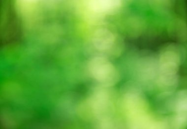 Yeşil bokeh arka plan doğa orman odak dışı