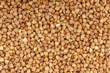 karabuğday yakın çekim