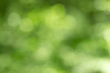 yeşil bokeh arka plan, yeşil bokeh, yeşil bokeh soyut