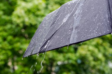 Şemsiye ve yağmur damlaları yakın çekim