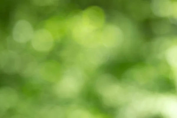 녹색보케 녹색보케 녹색보케 — 스톡 사진