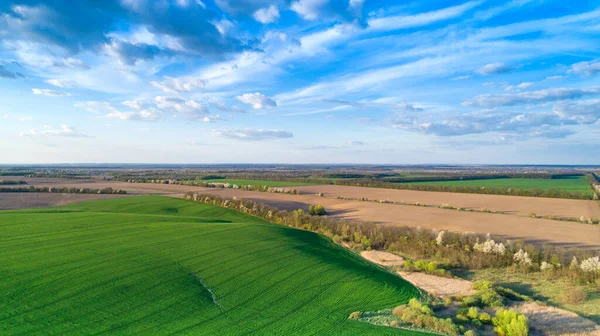 stock image Aerial shot of car on the road from drone point of view