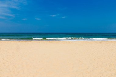 plaj ve tropikal deniz