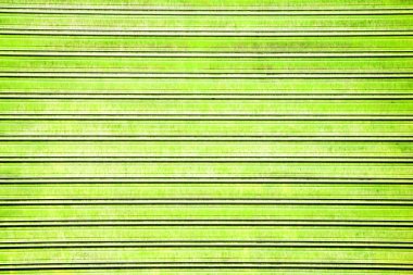 Grunge metalik dokusu arka plan