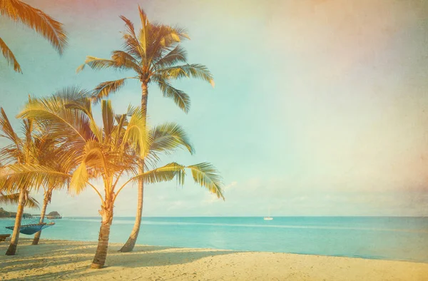 stock image Coconut tree on the sky background-  - retro styled picture