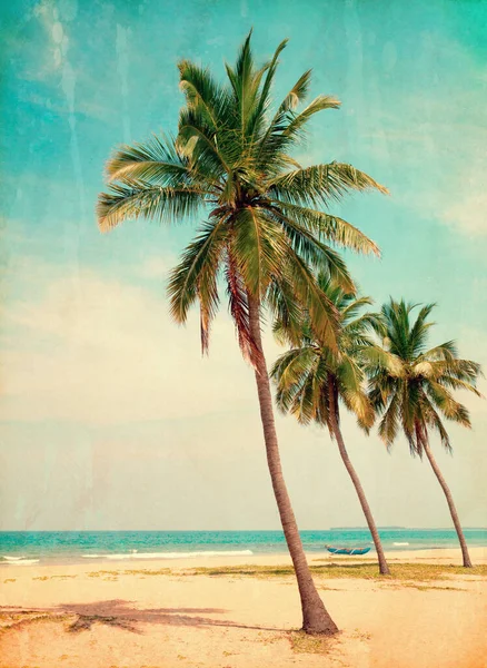Kokosnussbaum Auf Dem Himmel Hintergrund Retro Stil Bild — Stockfoto