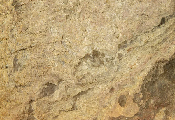 Oude Muur Bruine Achtergrond Textuur — Stockfoto