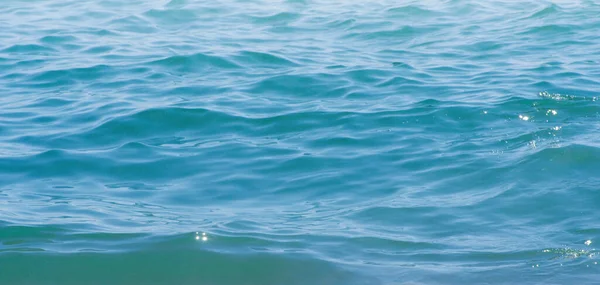 바닷물의 — 스톡 사진