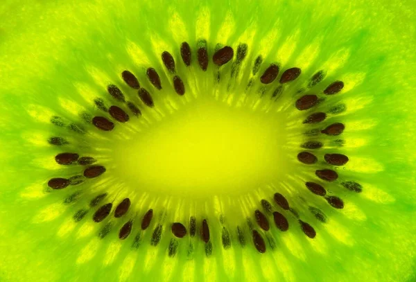 Zblízka Ovoce Kiwi Royalty Free Stock Obrázky