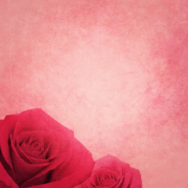 Romantischer Retro Grunge Hintergrund Mit Rosen — Stockfoto