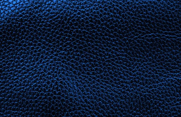 Niebieska Skóra Tło Tekstury — Zdjęcie stockowe