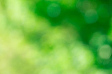 yeşil bokeh arka plan, yeşil bokeh, yeşil bokeh soyut