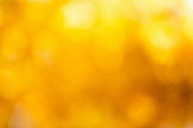 bulanık sonbahar arka plan