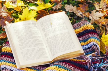 Autumn Park arkaplanı hakkında kitap aç.