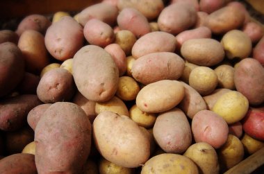 Arka plan olarak taze çiğ patates.