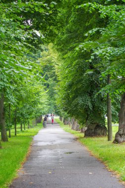 Bulanık odaklı insanlar parkta yürüyorlar..