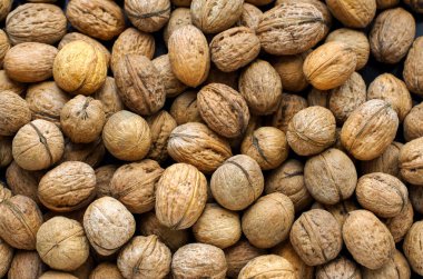 Cevize daha yakından bakıyorum..