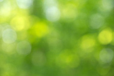 yeşil bokeh arka plan, yeşil bokeh, yeşil bokeh soyut