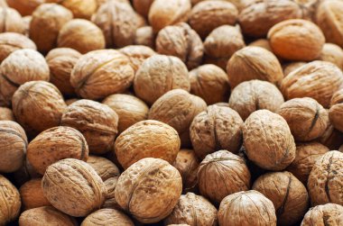 Tüm cevizlerin arkaplan dokusu olarak üst görünümü