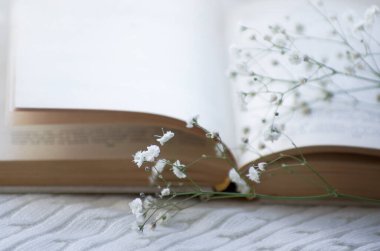 Sıcak kış natürmortu kitabı açtı. Bulanık