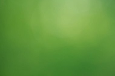 Yeşil bokeh arka plan doğa orman odak dışı