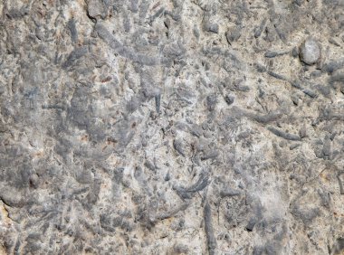 Kahverengi renkli mermerin yüzeyi