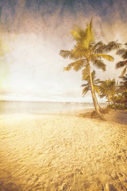 Arka planda hindistan cevizi ağacı var. Retro biçimli resim