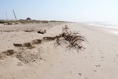 Caswell Beach, NC, ABD - 14 Ekim 2024: Plaj erozyonu, sonbaharda meydana gelen fırtınadan sonra Atlantik Okyanusu kıyısında düz olmayan bir kumla bir adım attı. Günün erken saatlerinde kumsalda fırtına sonrası aşınma görülüyor.